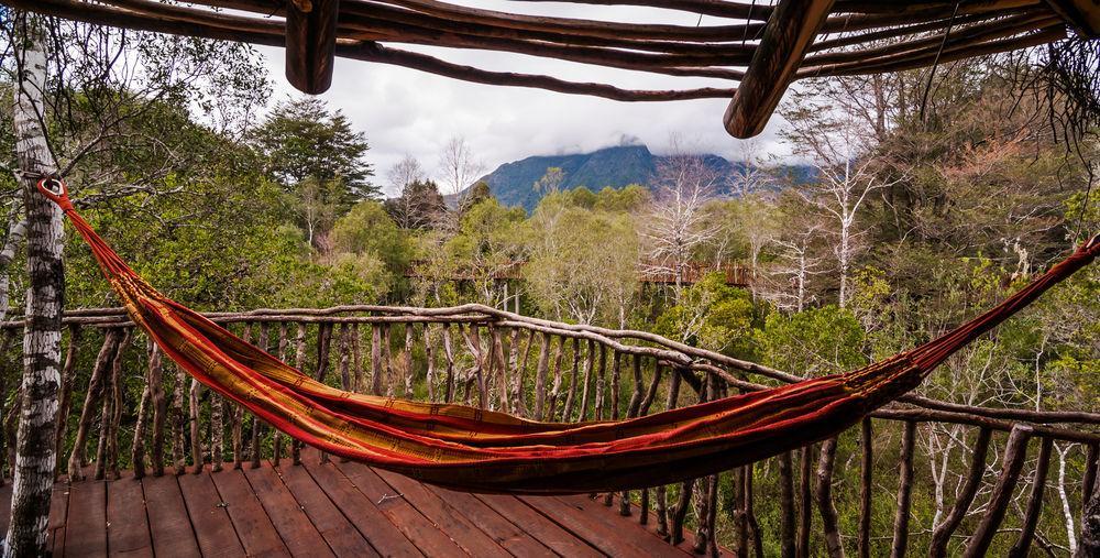 Tree Lodge Nidos De Pucon Exterior photo