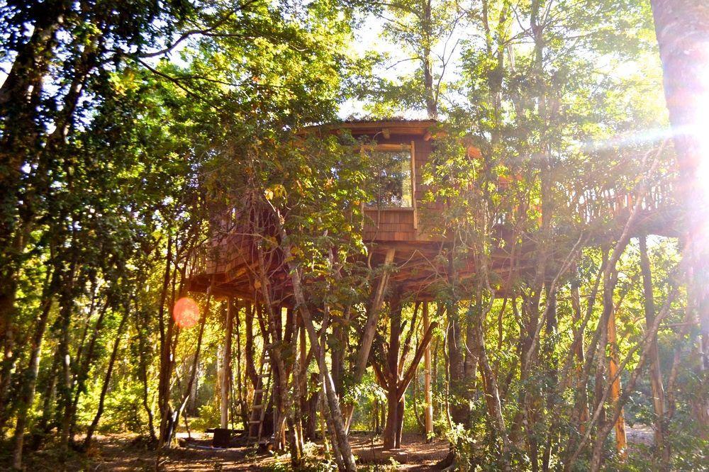 Tree Lodge Nidos De Pucon Exterior photo
