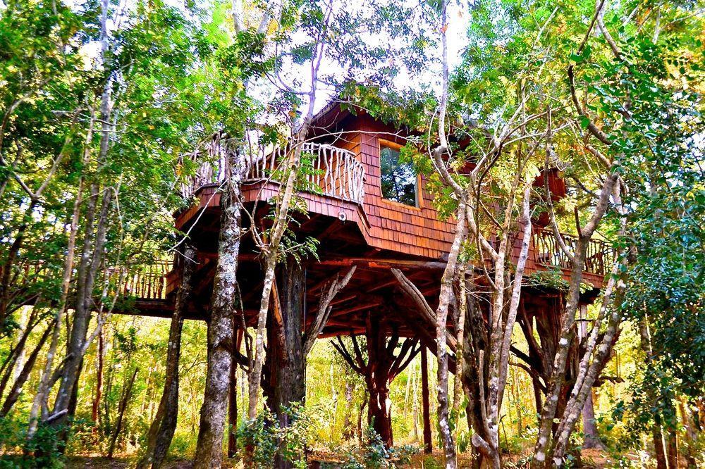 Tree Lodge Nidos De Pucon Exterior photo