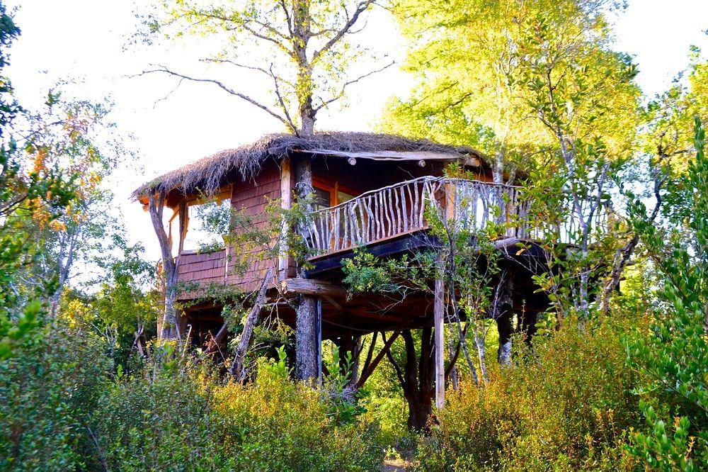 Tree Lodge Nidos De Pucon Exterior photo