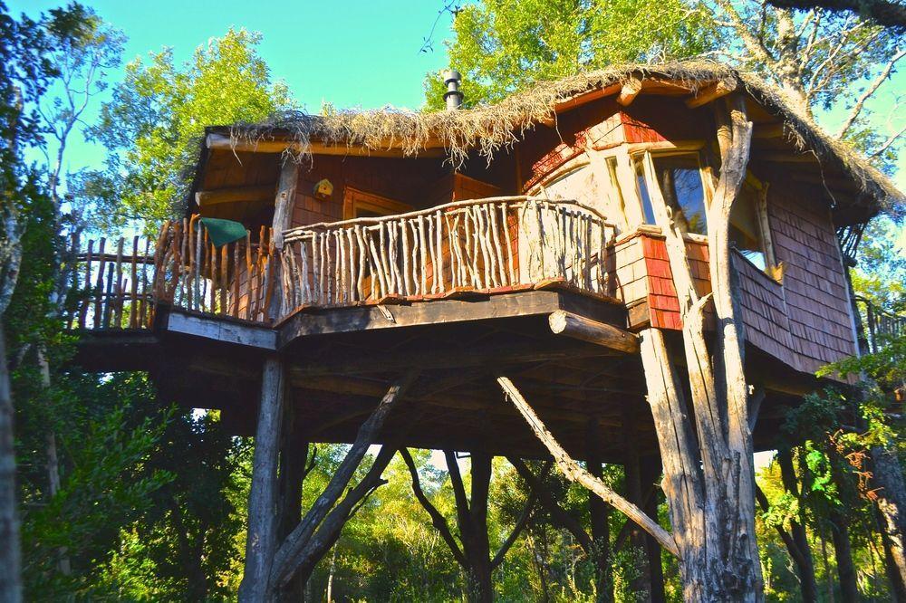 Tree Lodge Nidos De Pucon Exterior photo