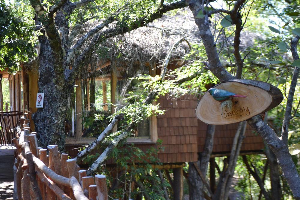 Tree Lodge Nidos De Pucon Exterior photo