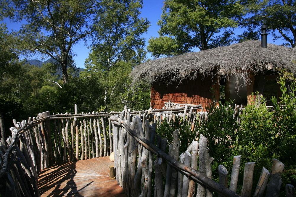 Tree Lodge Nidos De Pucon Exterior photo
