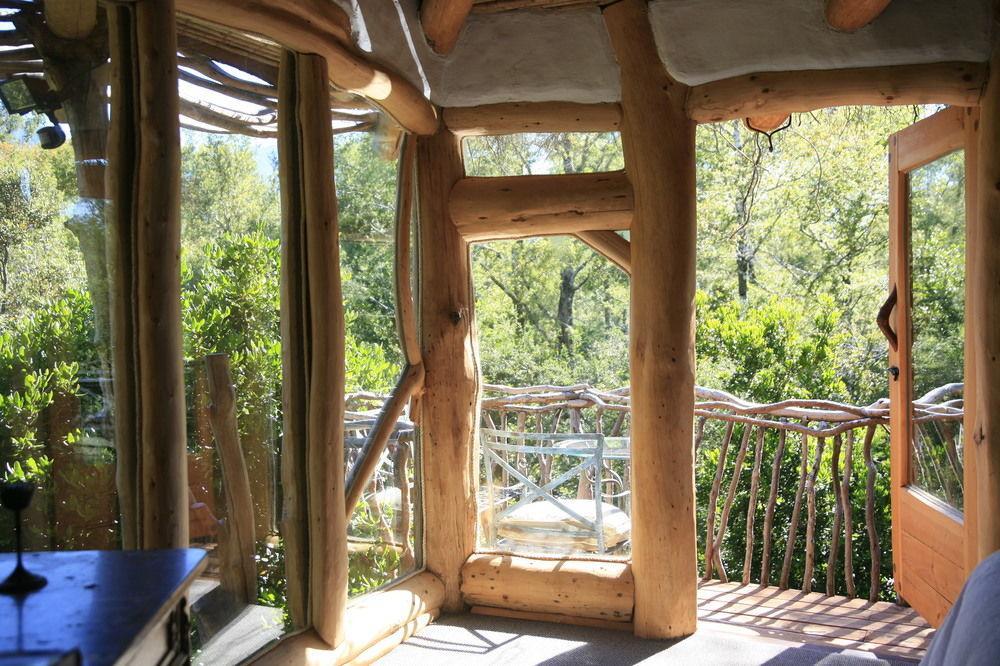 Tree Lodge Nidos De Pucon Exterior photo