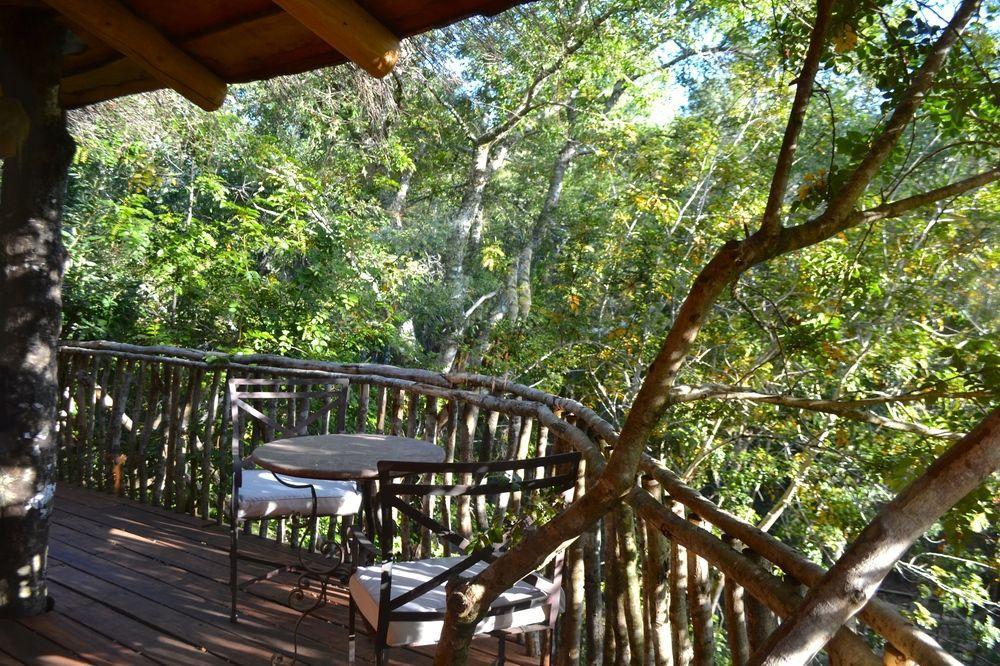 Tree Lodge Nidos De Pucon Exterior photo