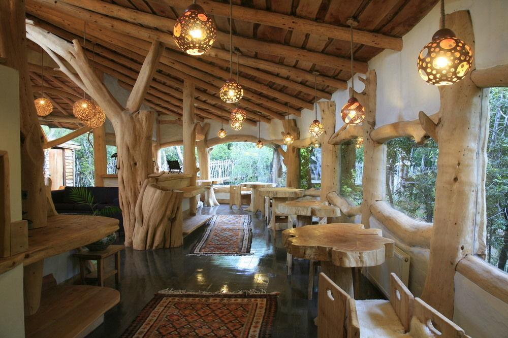 Tree Lodge Nidos De Pucon Exterior photo