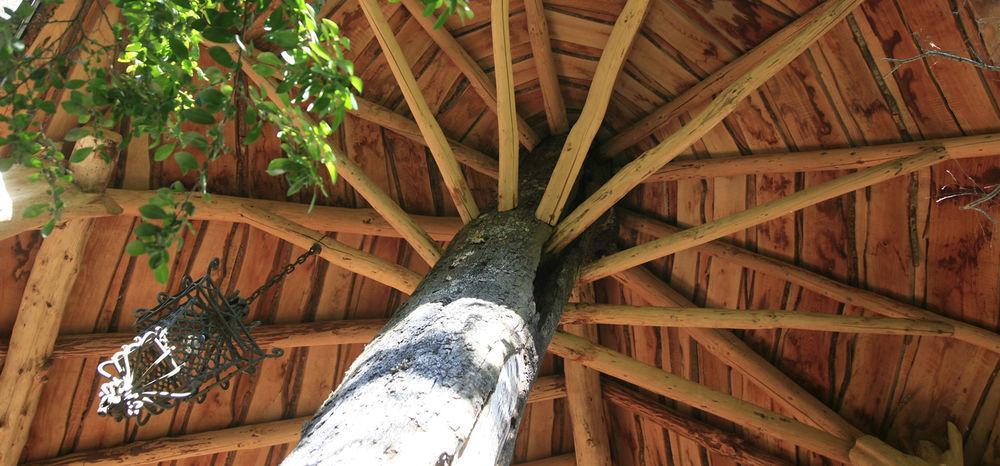 Tree Lodge Nidos De Pucon Exterior photo