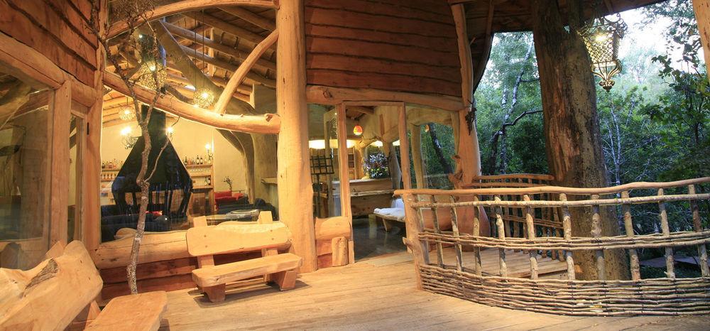 Tree Lodge Nidos De Pucon Exterior photo